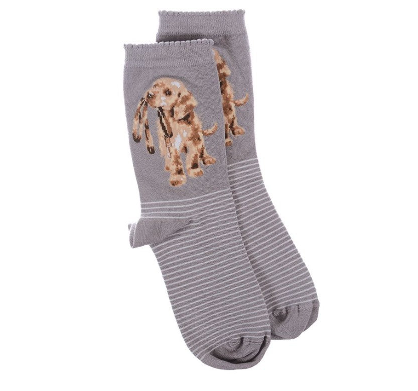 Wrendale Designs Hopeful Labrador dog sock