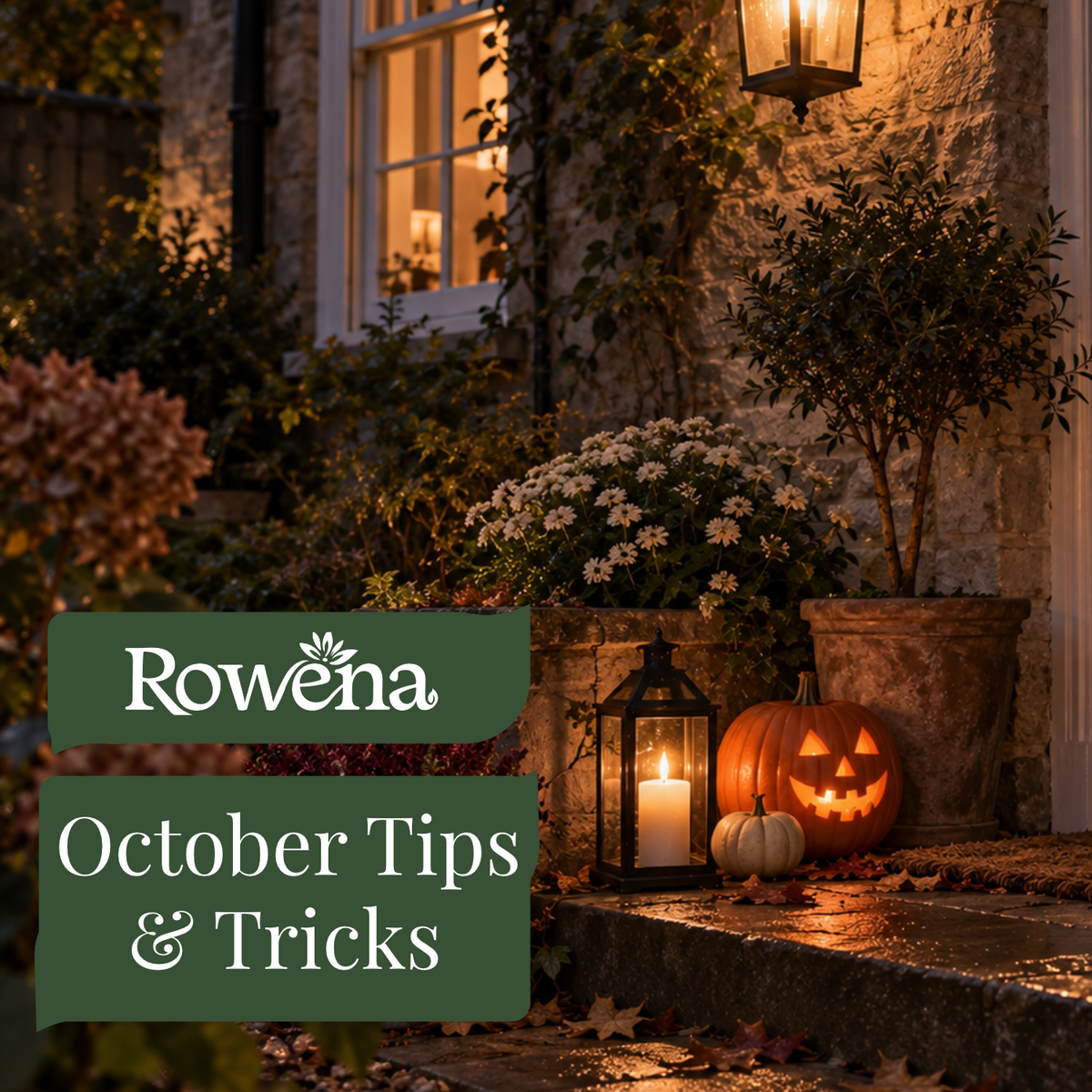 Halloween at Rowena Garden Centre: Give Your Garden a Spooktacular Makeover 🎃