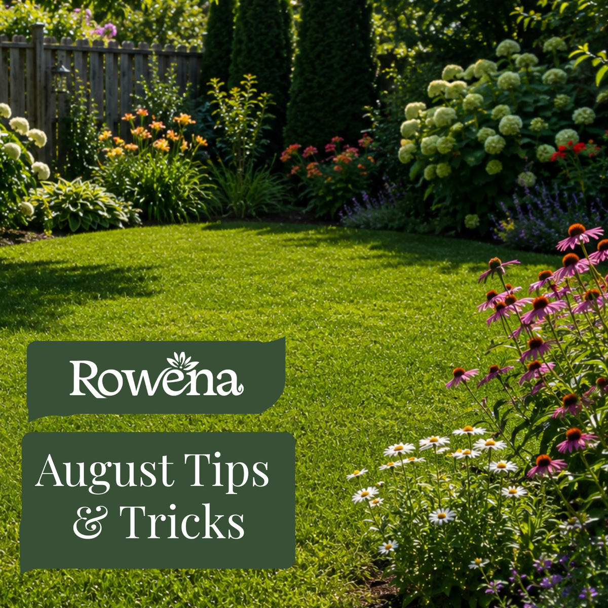 Treating Your Garden Through the Late Summer Heat and Into Autumn