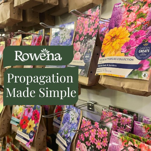 Propagation Made Simple