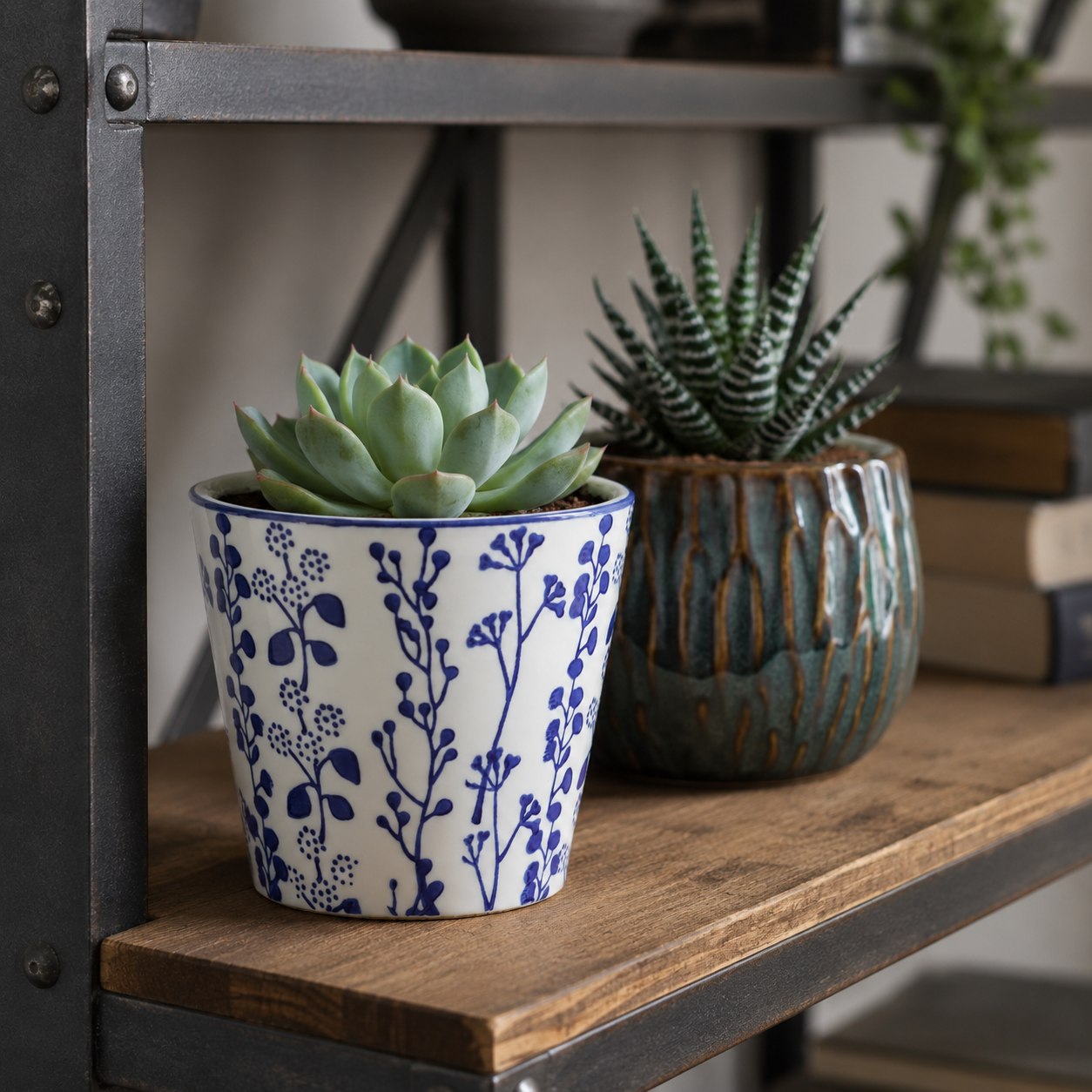 Indoor Pots