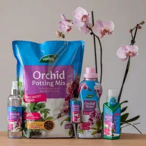 Westland Orchid Potting Mix range