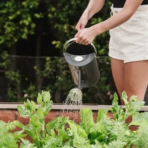Organic Vegetable Plant Food in watering can