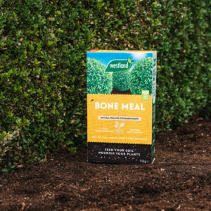 Westland Bone Meal 1.5kg lifestyle