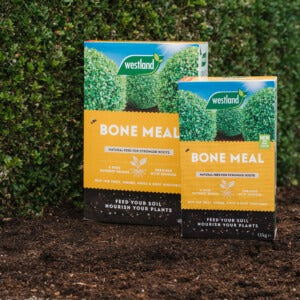 Westland Bone Meal both sizes next to shrub