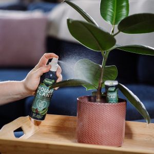 Houseplant Mist and Leaf Shine sprayed on leaves