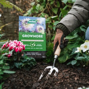 Westland Growmore forked into soil
