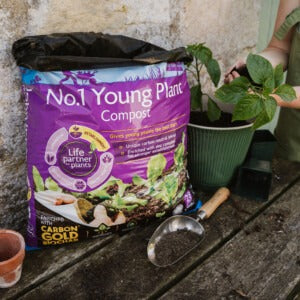 John Innes No.1 Compost planting up