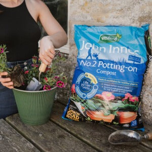John Innes No.2 Compost planting up plant