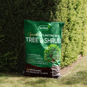 Westland Tree and Shrub Planting Mix next to hedge shrub
