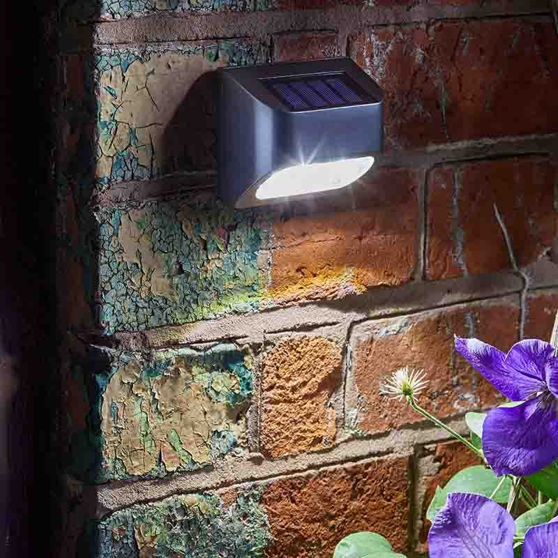 Premier Fence, Wall and Post Light - planter for indoor and outdoor use