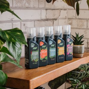 Westland Cacti and Succulent Feed 200ml