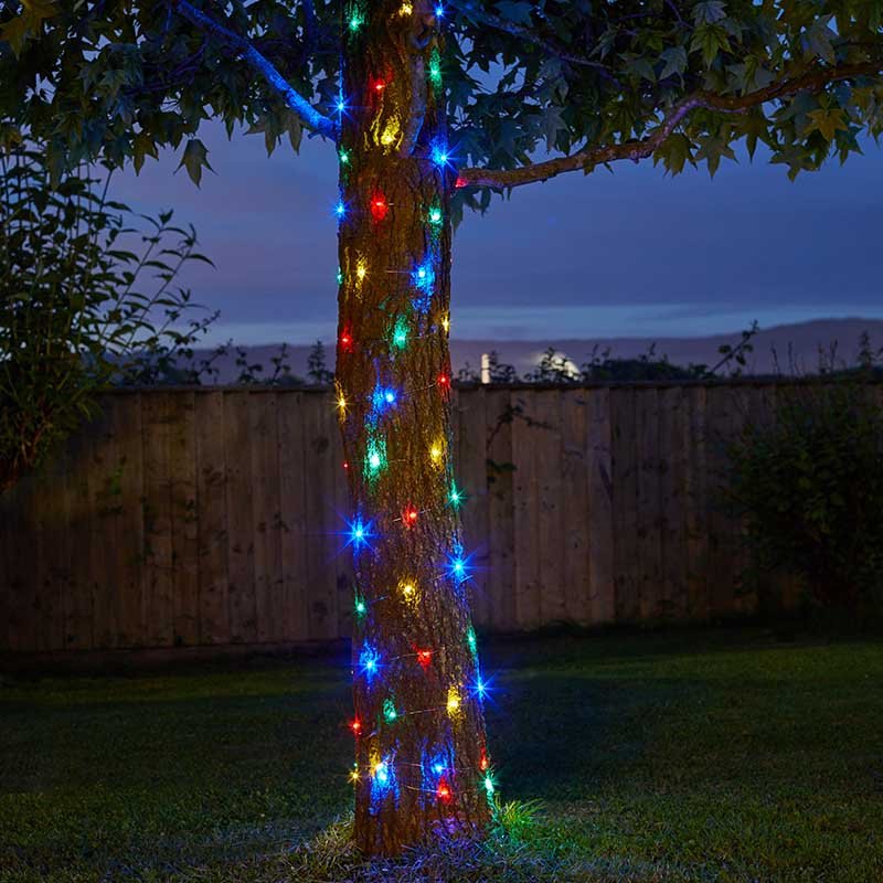 100 Multi Coloured Firefly Solar Strings - planter for indoor and outdoor use