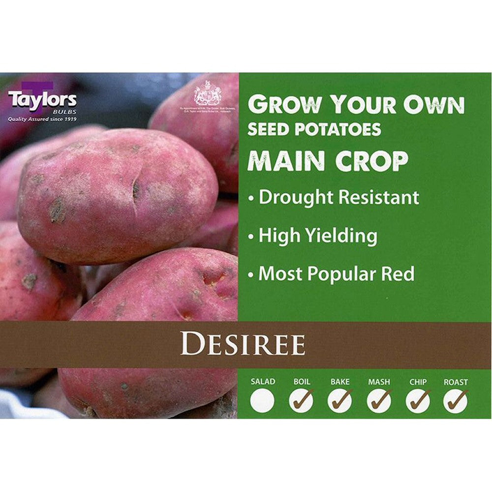 Taylors Bulbs Desiree seed potatoes