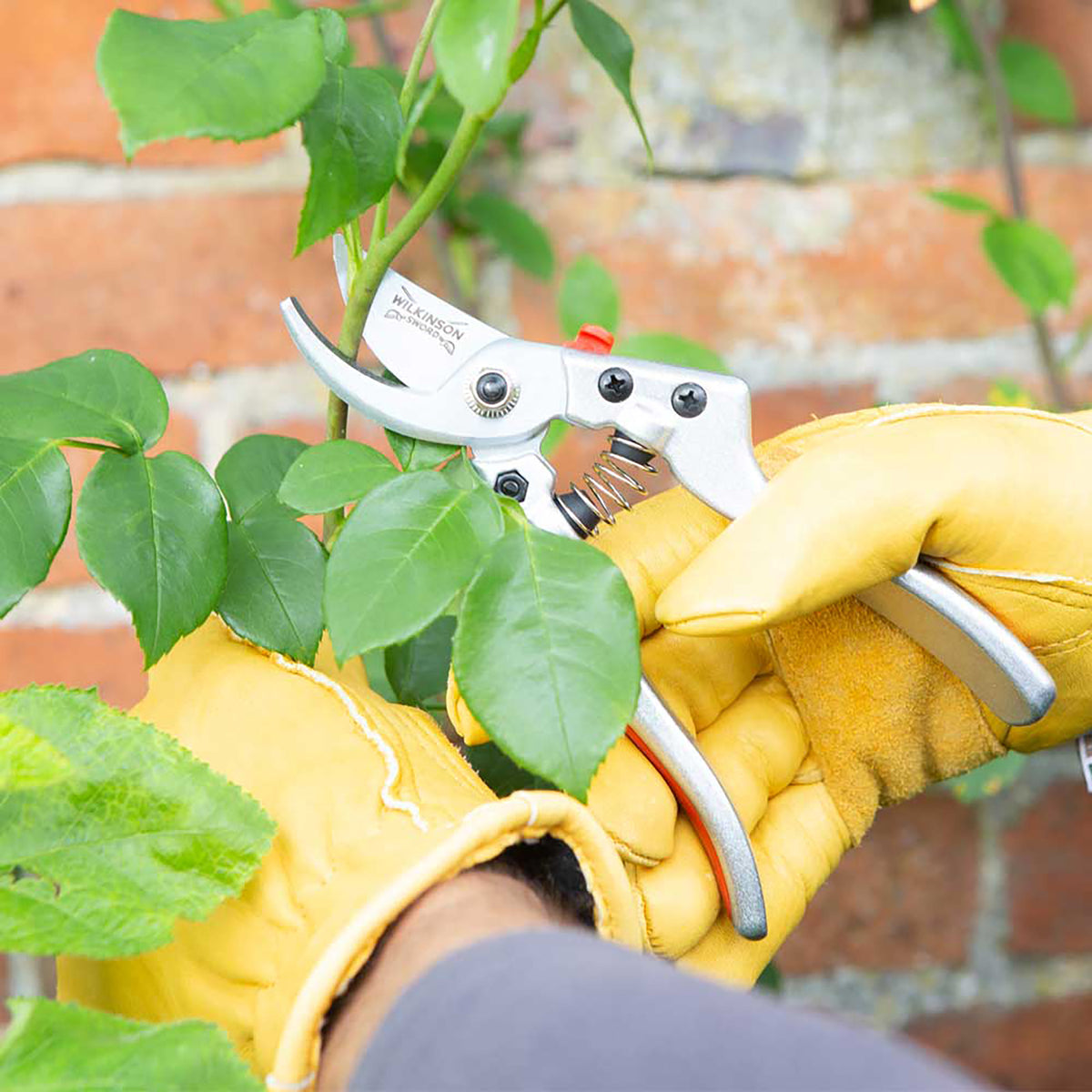 Wilkinson Sword Metal Razorcut Bypass L Pruner