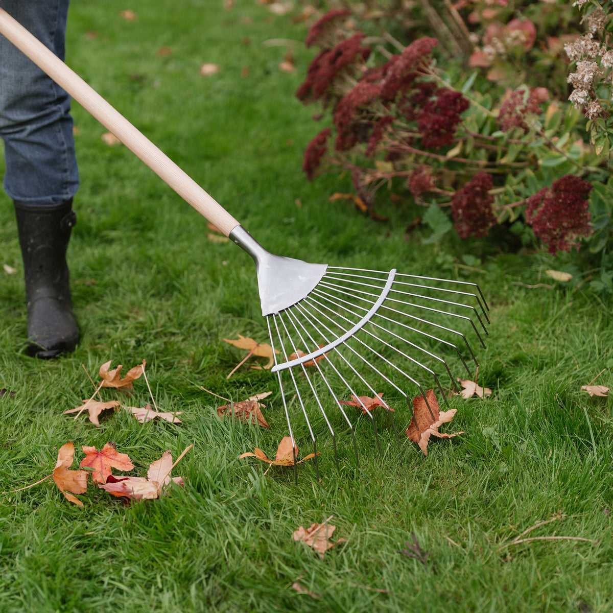 Kent & Stowe Stainless Steel Lawn & Leaf Rake in use