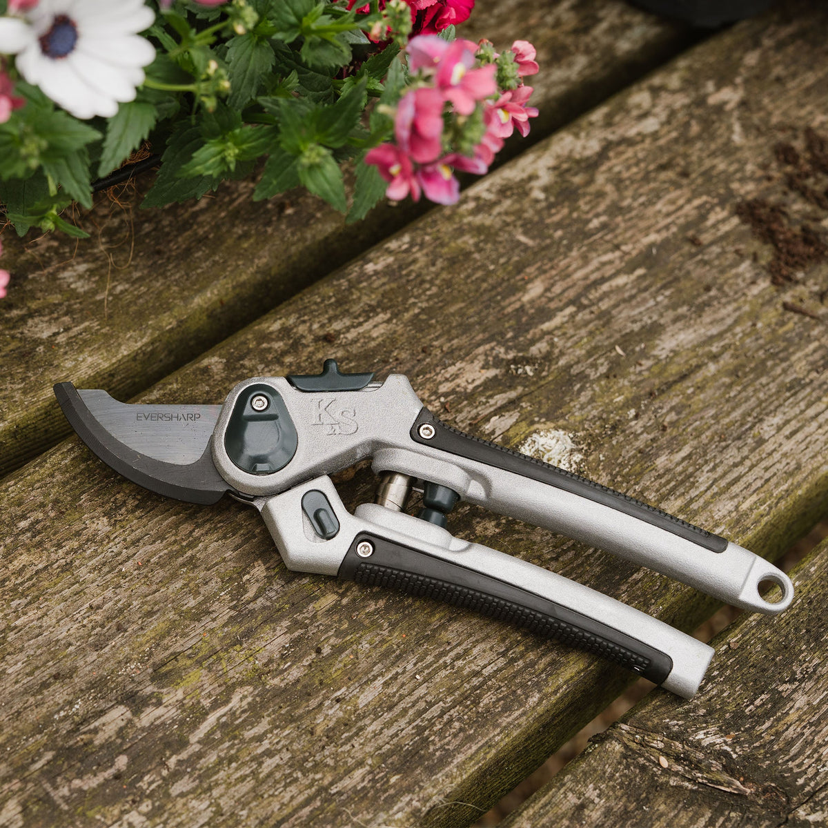Kent & Stowe Eversharp All Purpose Secateurs in use