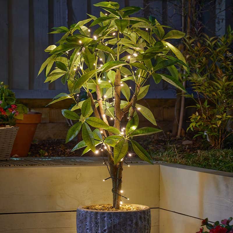 Solar Strings - 100 Warm White LEDs - planter for indoor and outdoor use