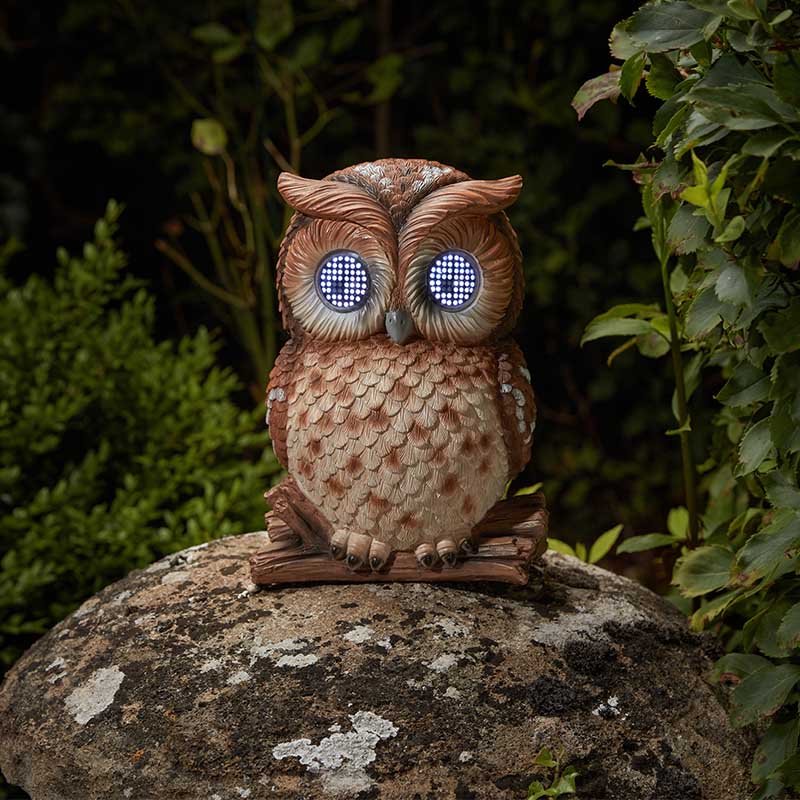 Blinkin' Owl