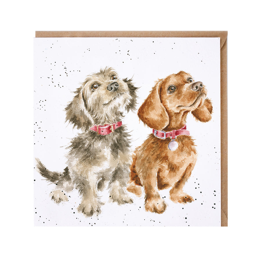 Treat Time greeting card