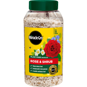 Miracle-Gro Rose and Shrub Continuous Release Plant Food