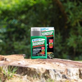 Roundup Tree Stump Weedkiller applied to stump