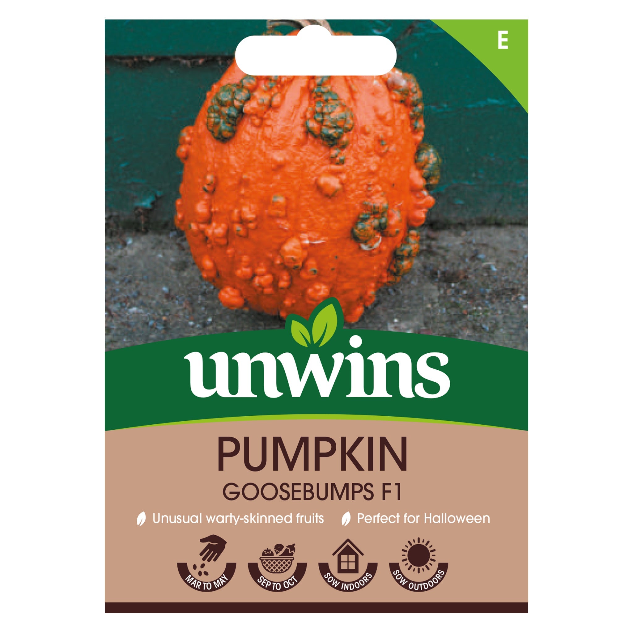 Unwins Pumpkin Goosebumps F1 seeds