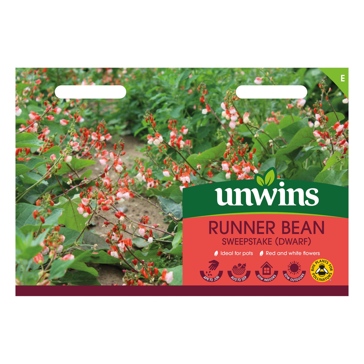 Unwins Dwarf Runner Bean Sweepstake seeds