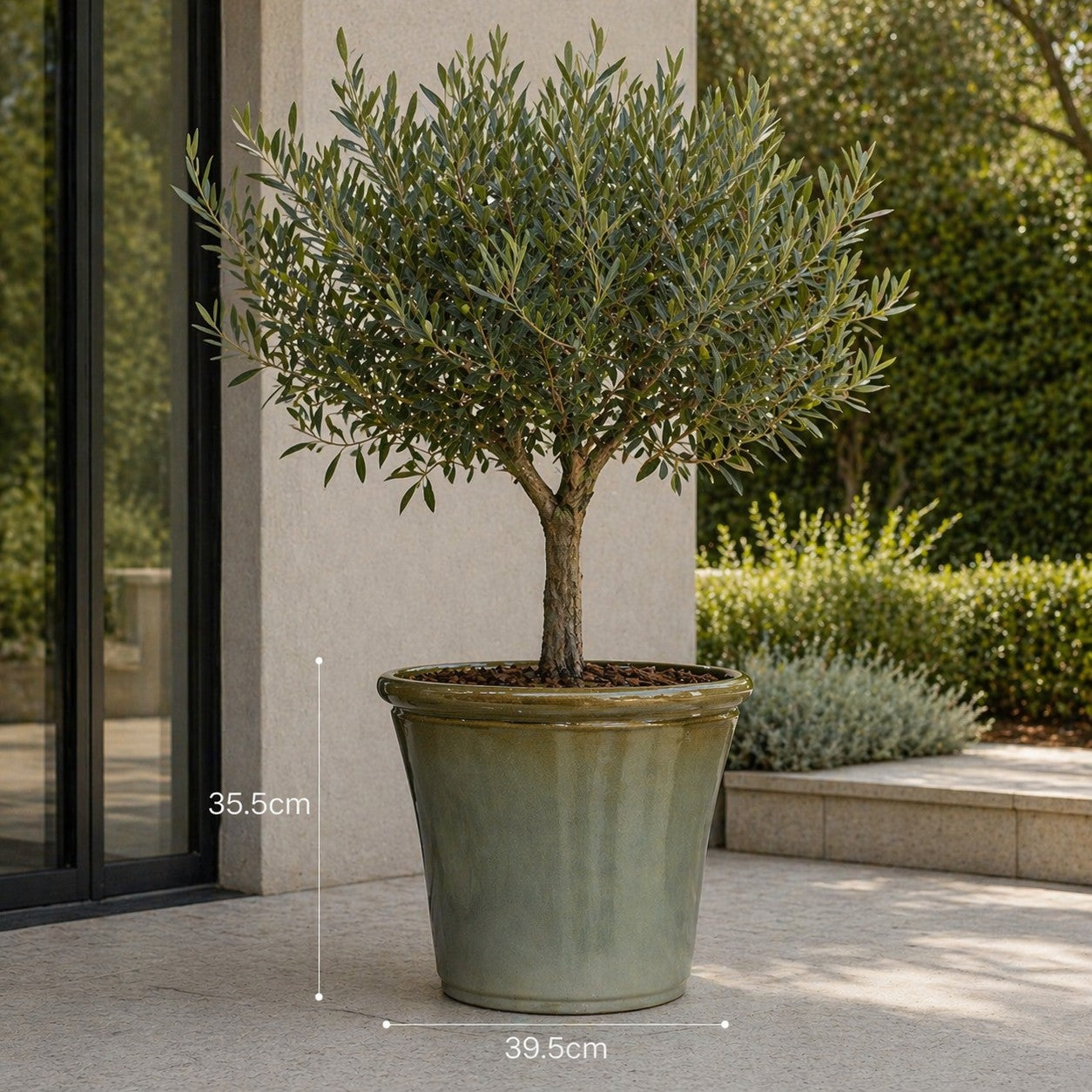 Hortus Lite - Glaze Plastic Rolled Rim Planter - Olive Green - Dia 39 x Height 35cm lifestyle - fibreglass stone-effect planter with lush greenery on modern garden terrace
