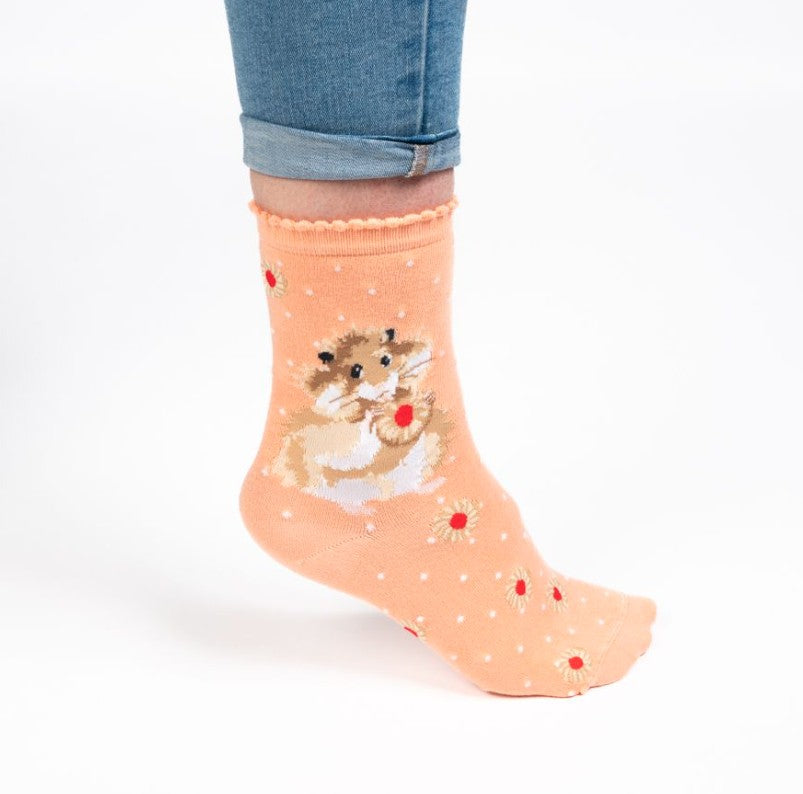 Hamster Sock - Diet Starts Tomorrow