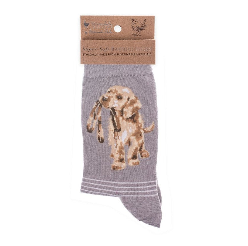 Dog Sock - Hopeful