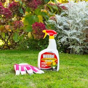 Weedol Rapid Weed Control spraying weeds