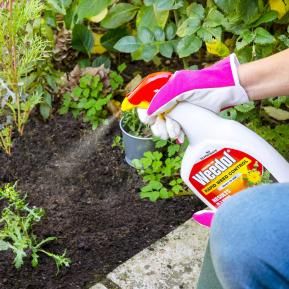 Weedol Rapid Weed Control Power Sprayer in use
