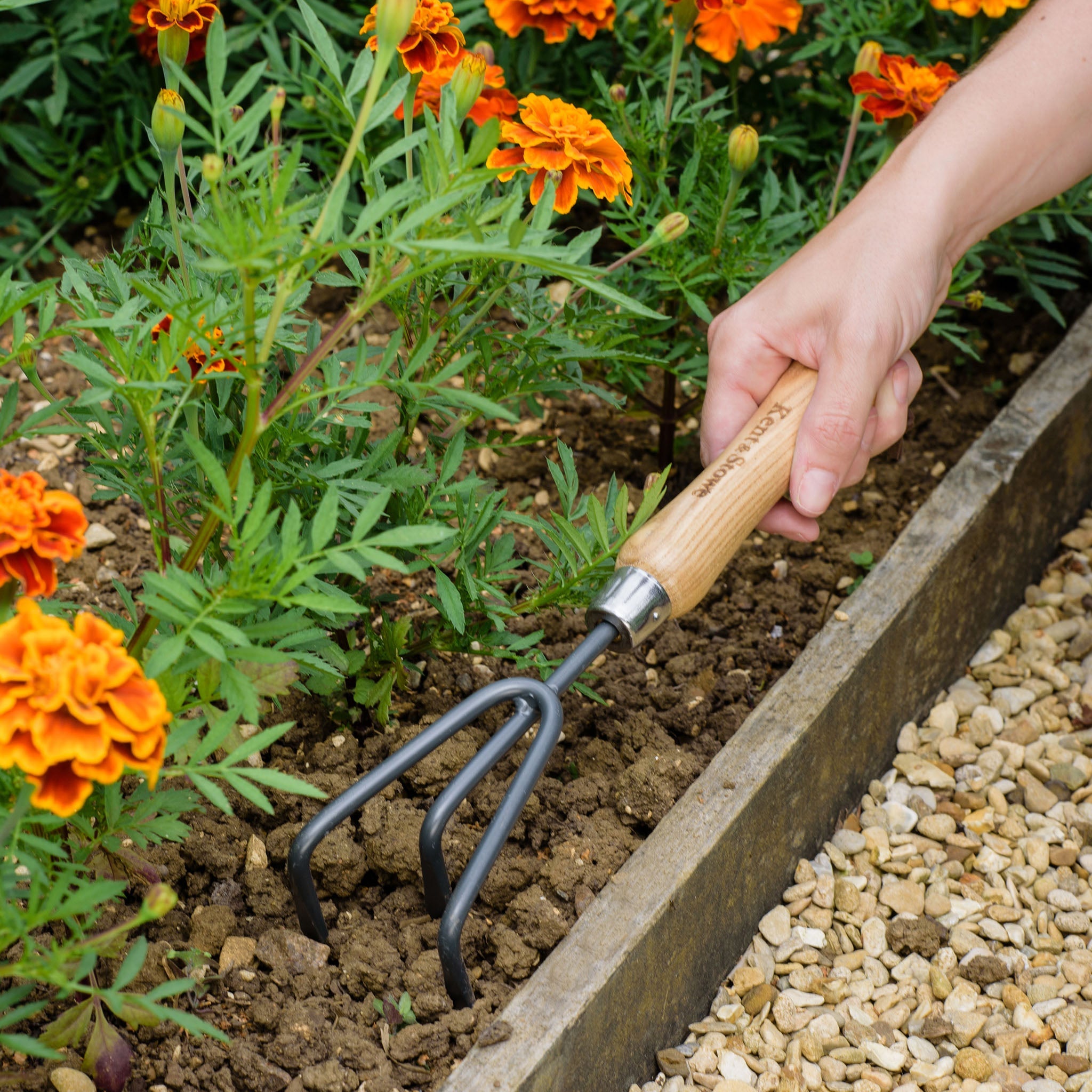 Kent & Stowe Carbon Steel Hand 3 Prong Cultivator in use
