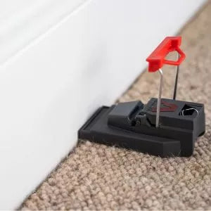 Deadfast Quick-Kill Mouse Trap in use