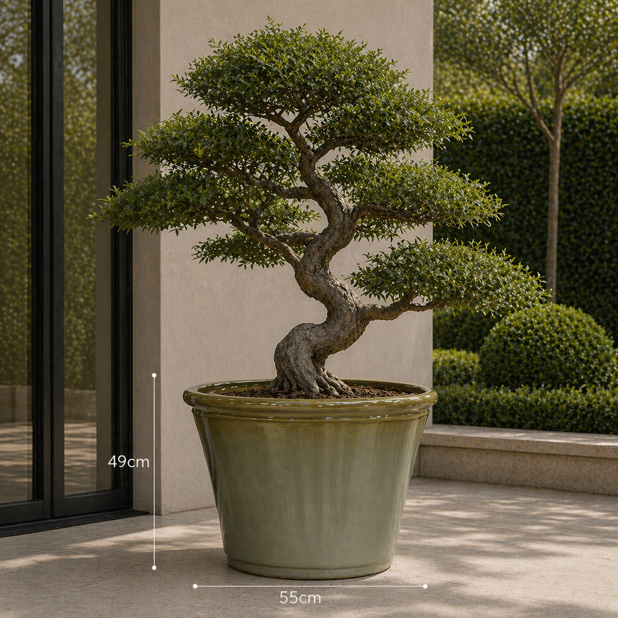 Hortus Lite - Glaze Plastic Rolled Rim Planter -  Olive  Green- Dia 55 x Height 49cm lifestyle - fibreglass stone-effect planter with lush greenery on modern garden terrace