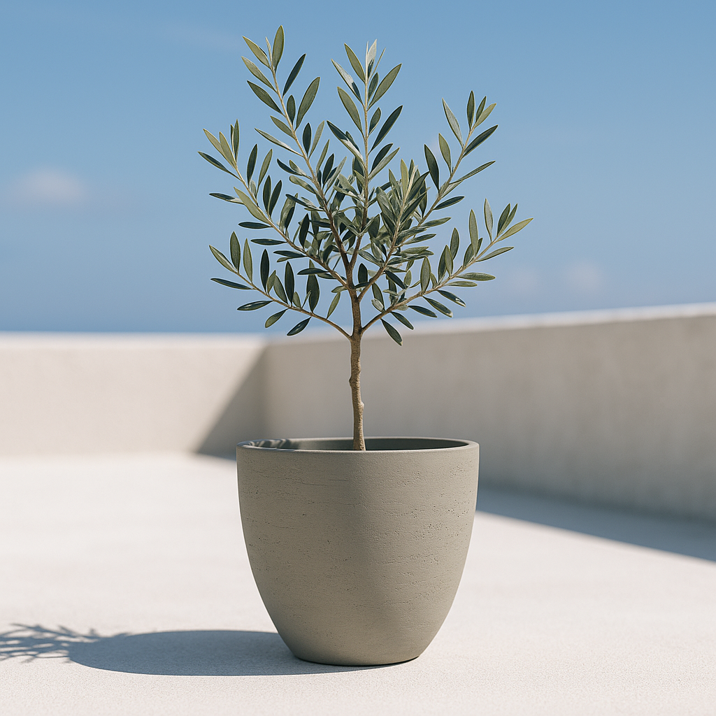 Hortus Classic Cemento Planter lifestyle - concrete planter with Mediterranean plants on contemporary Mediterranean terrace