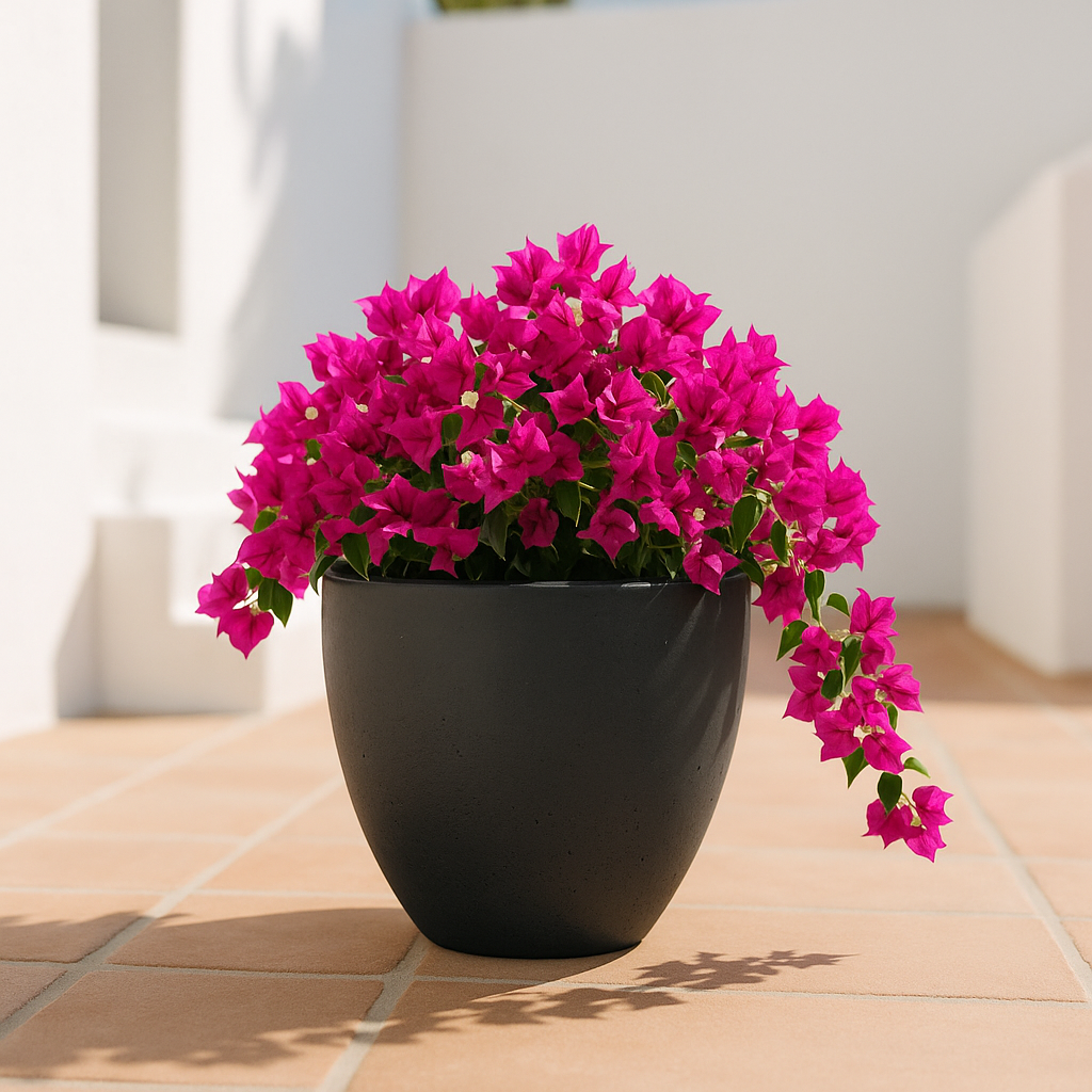 Hortus Classic Cemento Planter lifestyle - concrete planter with Mediterranean plants on contemporary Mediterranean terrace