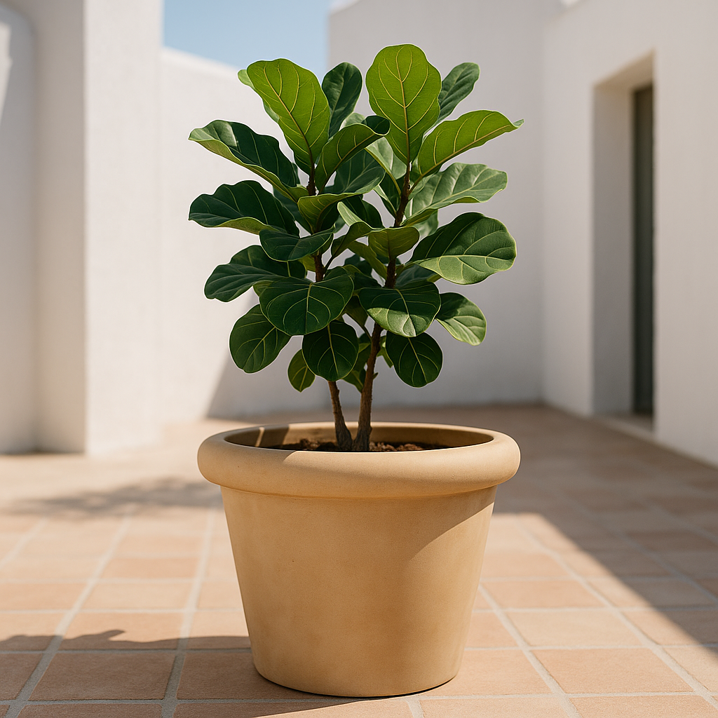Hortus Classic Sardinia Rolltop Pot Medium lifestyle - fibreglass stone-effect roll-top planter with Mediterranean plants on contemporary Mediterranean terrace