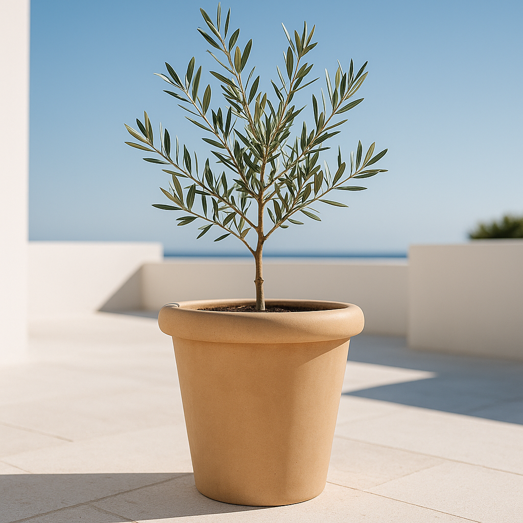 Hortus Classic Sardinia Tall Rolltop Pot - Large lifestyle - fibreglass stone-effect roll-top planter with Mediterranean plants on contemporary Mediterranean terrace