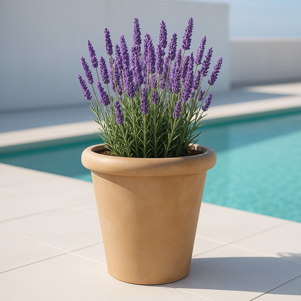 Hortus Classic Sardinia Tall Rolltop Pot - Medium lifestyle - fibreglass stone-effect roll-top planter with Mediterranean plants on contemporary Mediterranean terrace
