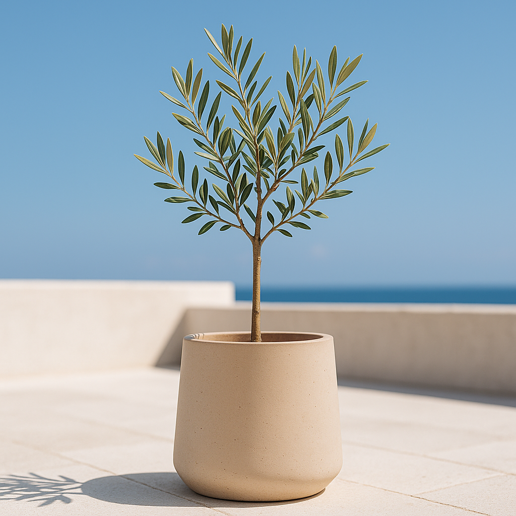 Hortus Classic Corsica Tapered  Planter lifestyle - fibreglass stone-effect tapered planter with Mediterranean plants on contemporary Mediterranean terrace