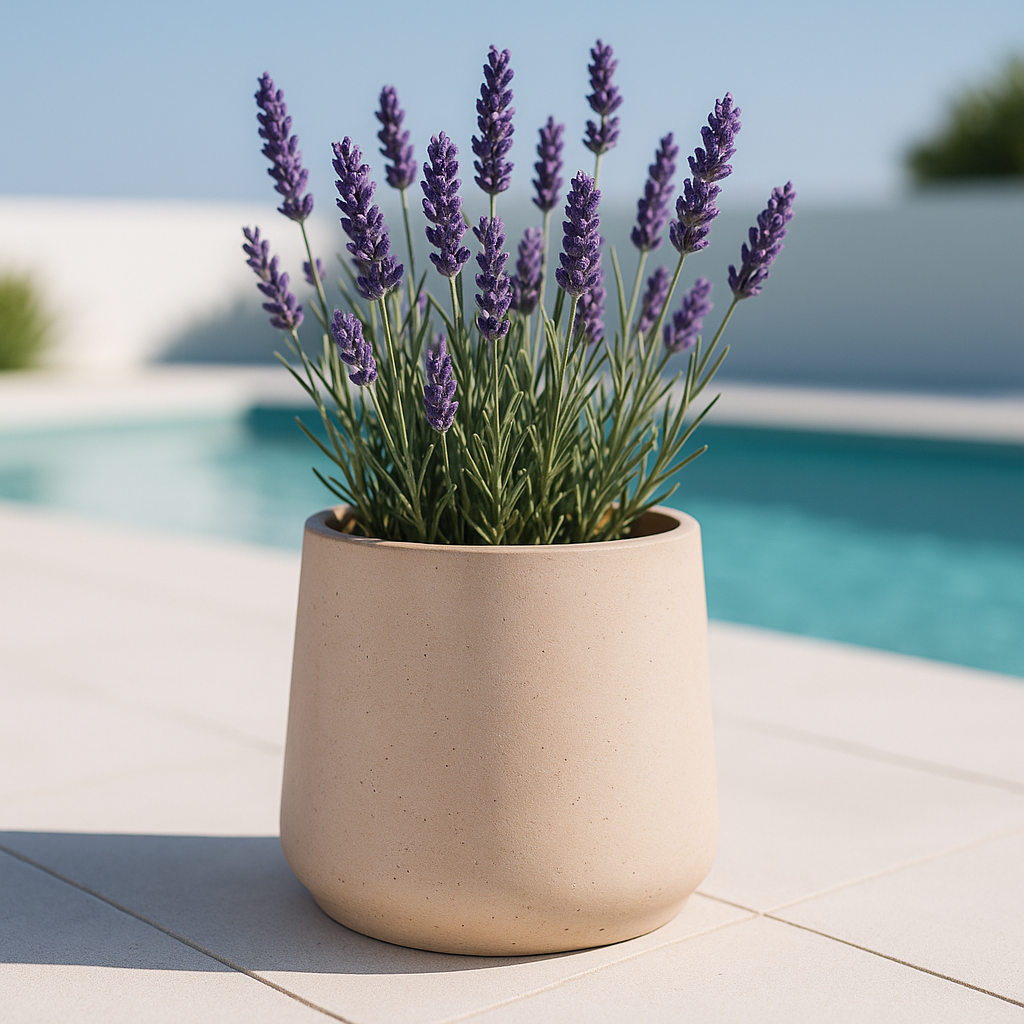Hortus Classic  Corsica Tapered  Planter lifestyle - fibreglass stone-effect tapered planter with Mediterranean plants on contemporary Mediterranean terrace