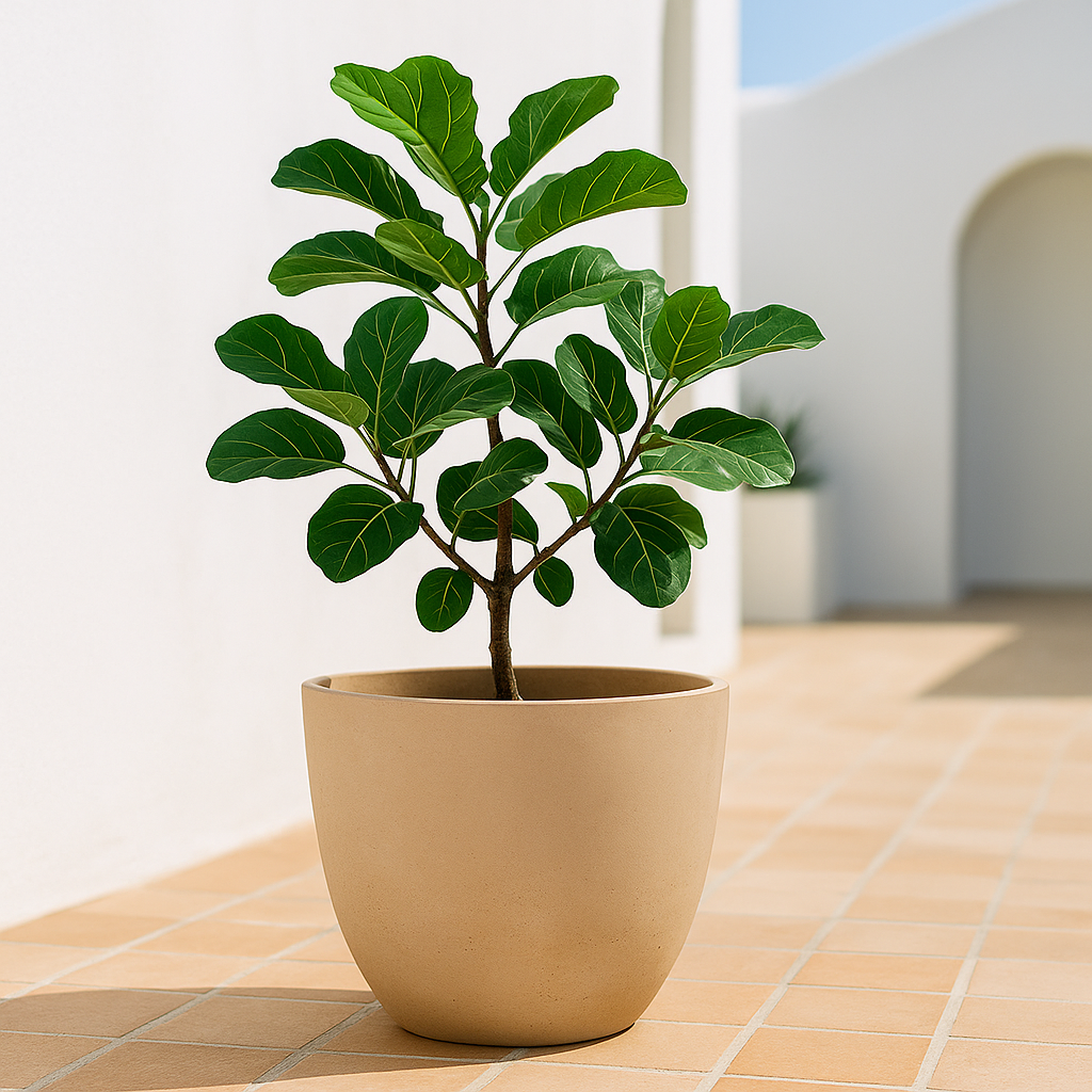 Hortus Classic Corsica Flared Planter lifestyle - fibreglass stone-effect flared planter with Mediterranean plants on contemporary Mediterranean terrace