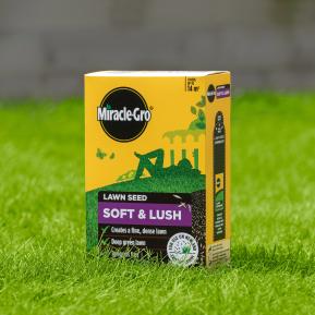 Soft and Lush Lawn Seed lifestyle