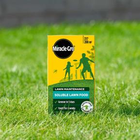 Miracle-Gro Soluble Lawn Food lifestyle