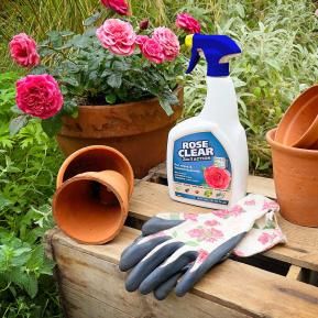 RoseClear 3 in 1 Action being sprayed on roses