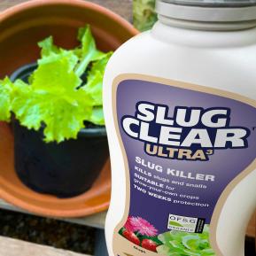 SlugClear Ultra 3 applied to soil