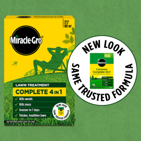 Complete 4 in 1 lawn treatment