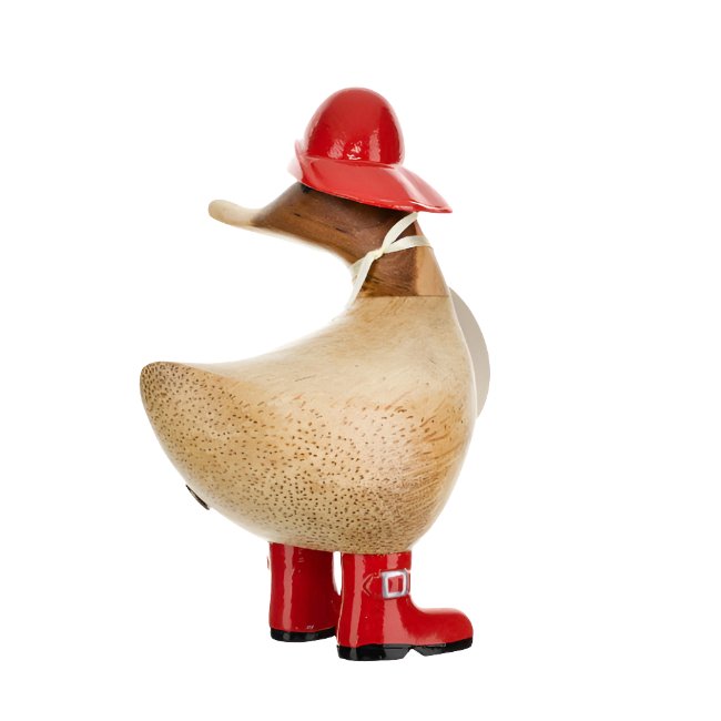 Rainy Day Ducky 3